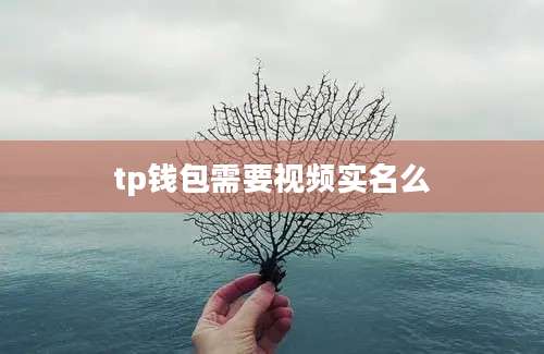 tp钱包需要视频实名么