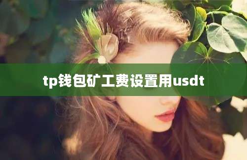 tp钱包矿工费设置用usdt