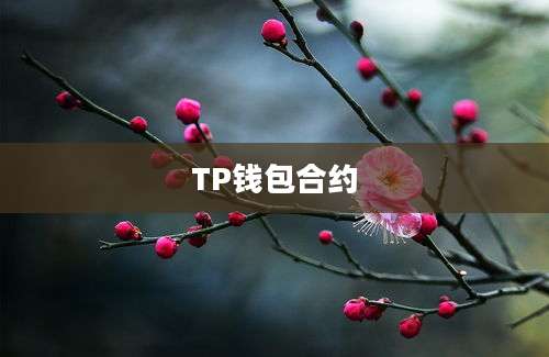TP钱包合约