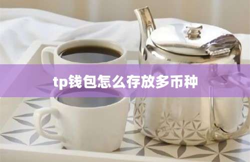 tp钱包怎么存放多币种