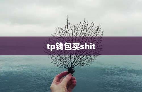 tp钱包买shit