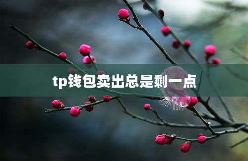 tp钱包卖出总是剩一点