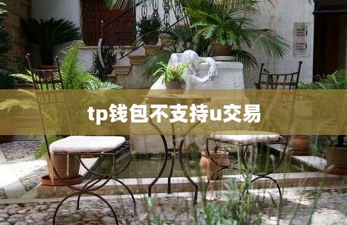 tp钱包不支持u交易