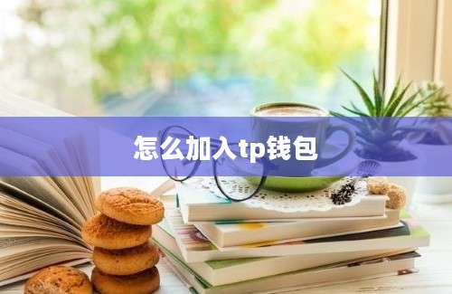怎么加入tp钱包
