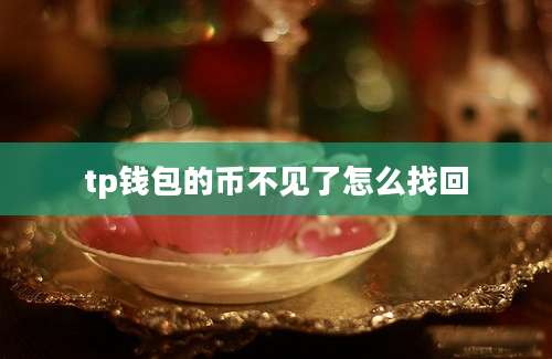 tp钱包的币不见了怎么找回