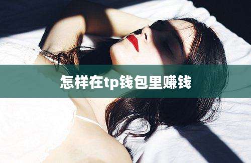 怎样在tp钱包里赚钱
