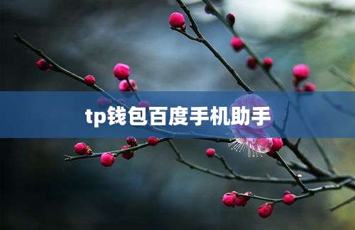 tp钱包百度手机助手