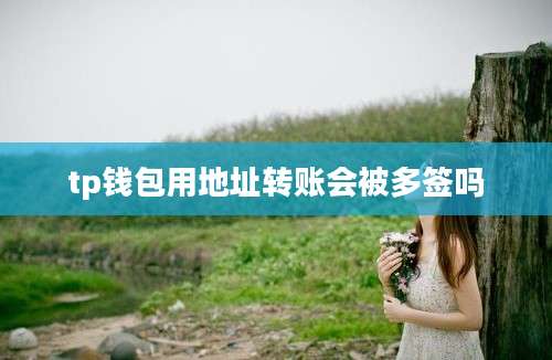tp钱包用地址转账会被多签吗