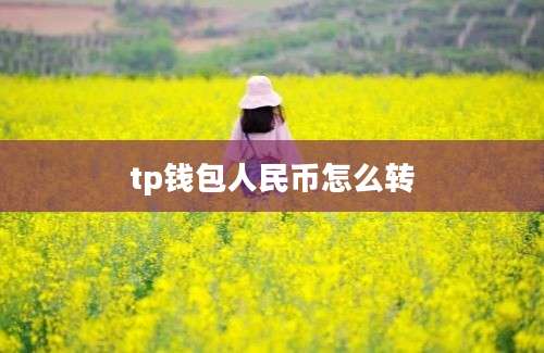 tp钱包人民币怎么转