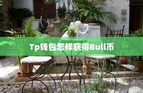 Tp钱包怎样获得Bull币