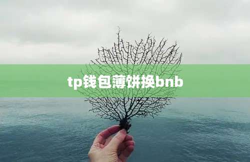 tp钱包薄饼换bnb