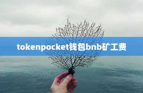 tokenpocket钱包bnb矿工费