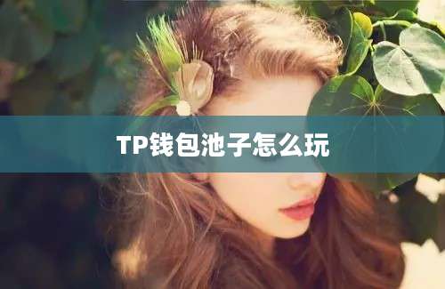 TP钱包池子怎么玩