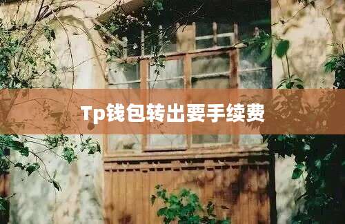 Tp钱包转出要手续费