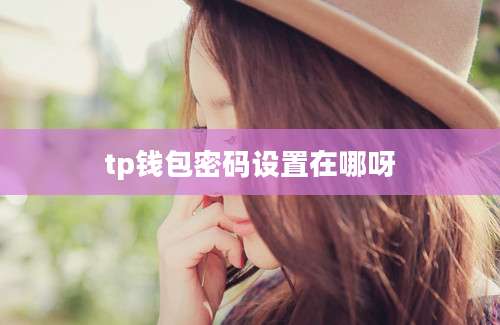 tp钱包密码设置在哪呀