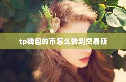 tp钱包的币怎么转到交易所