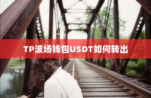 TP波场钱包USDT如何转出