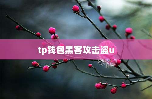 tp钱包黑客攻击盗u
