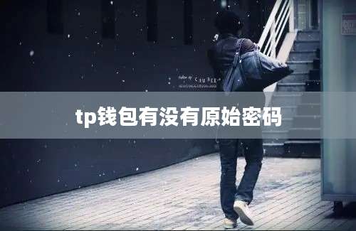 tp钱包有没有原始密码