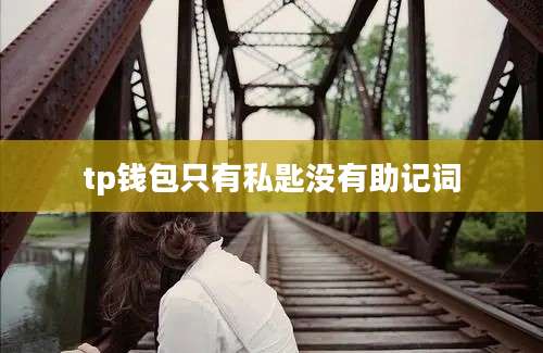 tp钱包只有私匙没有助记词