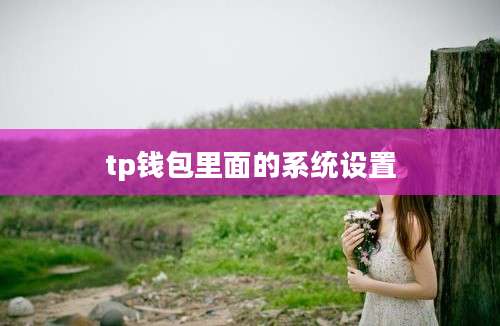 tp钱包里面的系统设置