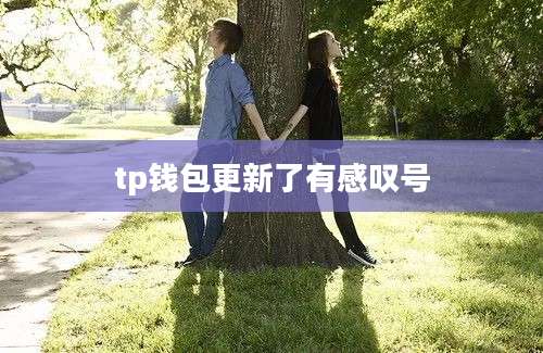 tp钱包更新了有感叹号