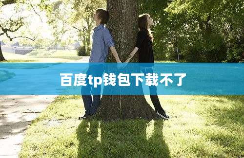 百度tp钱包下载不了