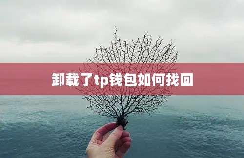 卸载了tp钱包如何找回