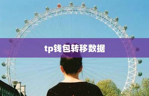tp钱包转移数据