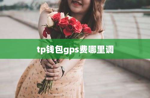 tp钱包gps费哪里调