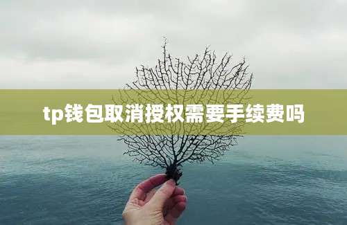 tp钱包取消授权需要手续费吗