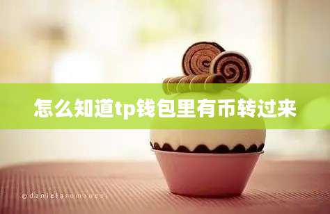 怎么知道tp钱包里有币转过来