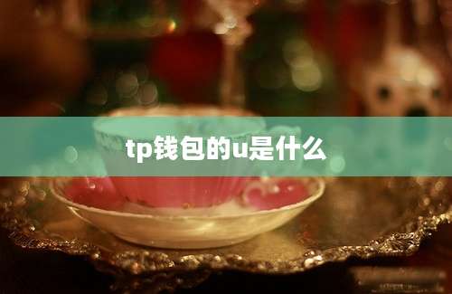 tp钱包的u是什么
