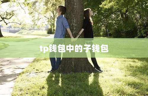 tp钱包中的子钱包