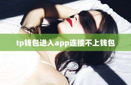 tp钱包进入app连接不上钱包