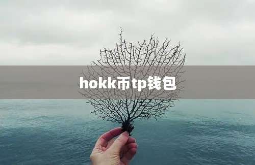 hokk币tp钱包