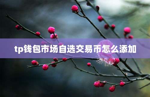 tp钱包市场自选交易币怎么添加