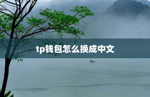 tp钱包怎么换成中文
