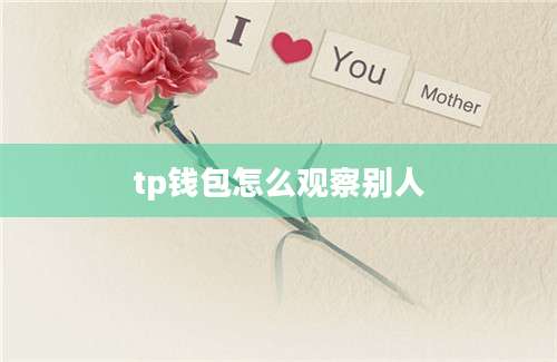 tp钱包怎么观察别人