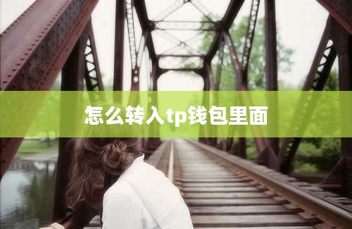 怎么转入tp钱包里面