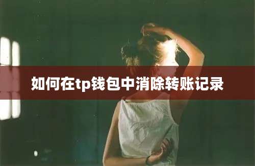 如何在tp钱包中消除转账记录