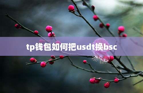 tp钱包如何把usdt换bsc