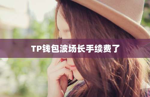 TP钱包波场长手续费了