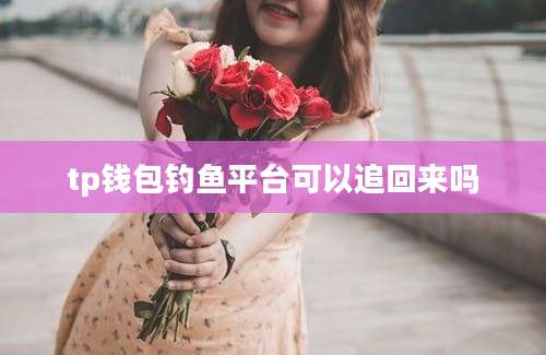 tp钱包钓鱼平台可以追回来吗
