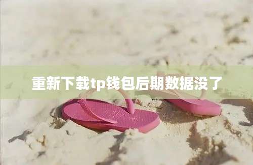 重新下载tp钱包后期数据没了