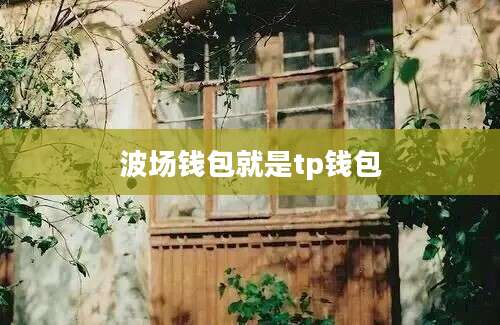 波场钱包就是tp钱包