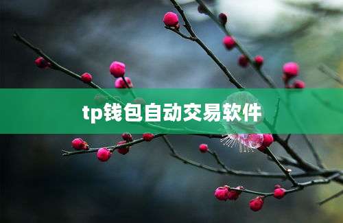 tp钱包自动交易软件