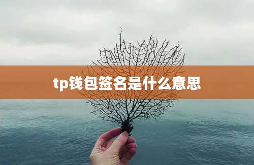 tp钱包签名是什么意思