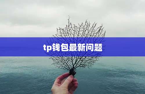 tp钱包最新问题