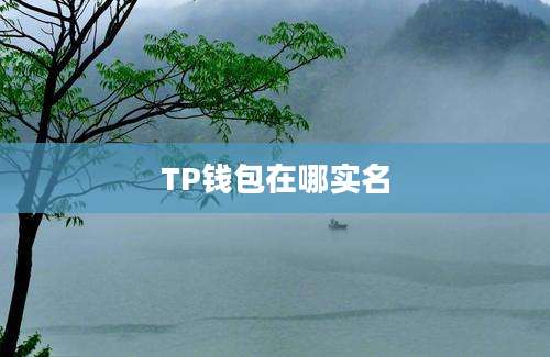 TP钱包在哪实名